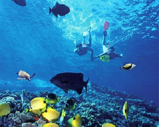 snorkel en baja